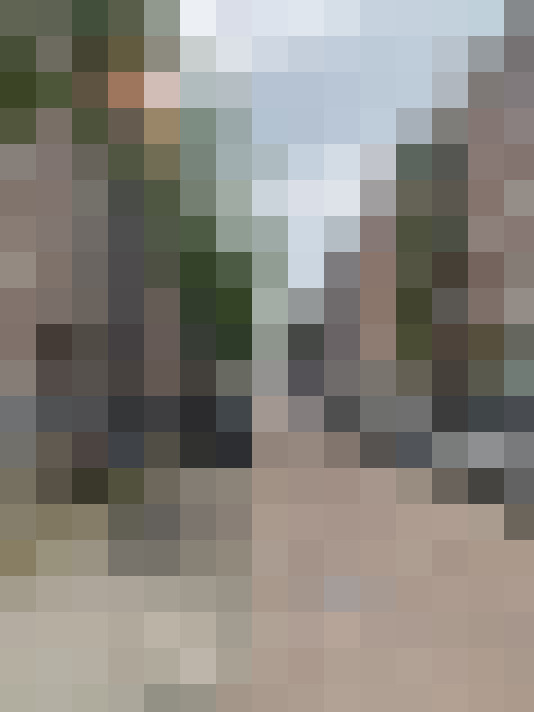 Image 41
