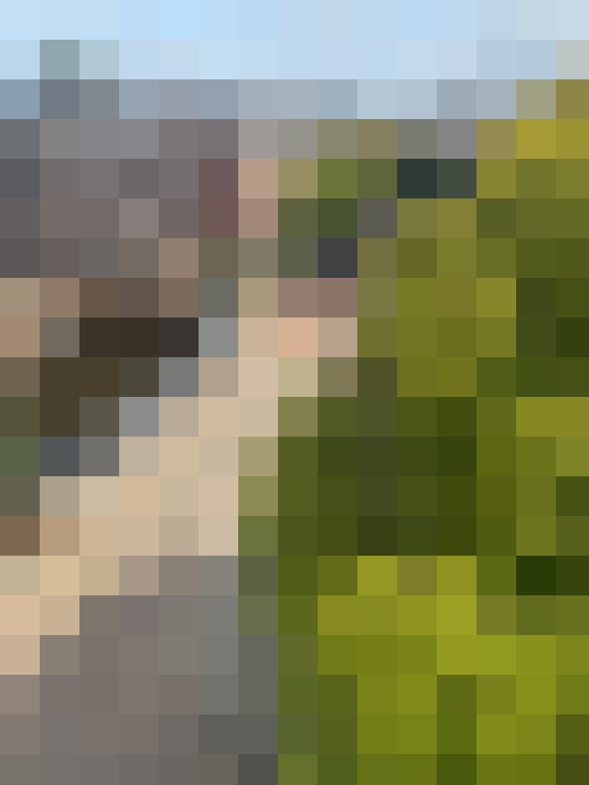 Image 48