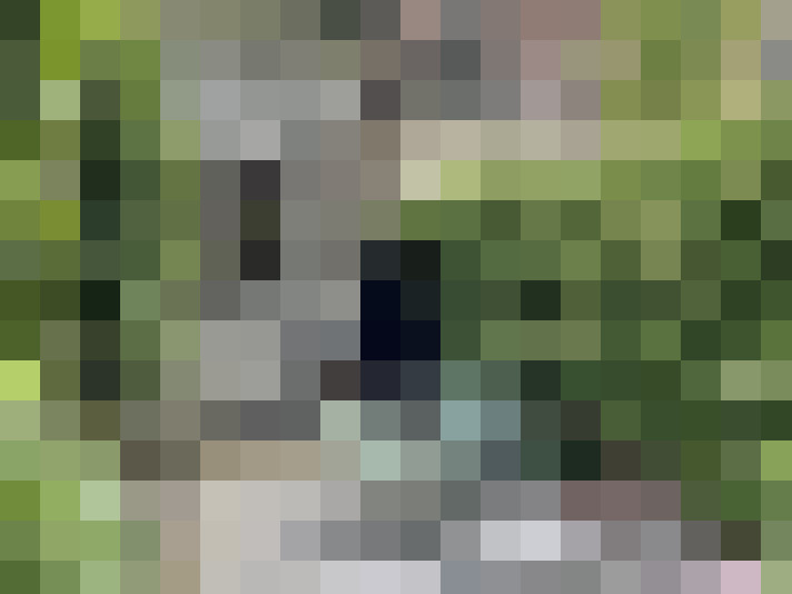 Image 20