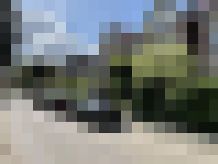 Image 24