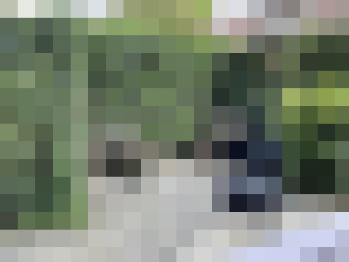 Image 22