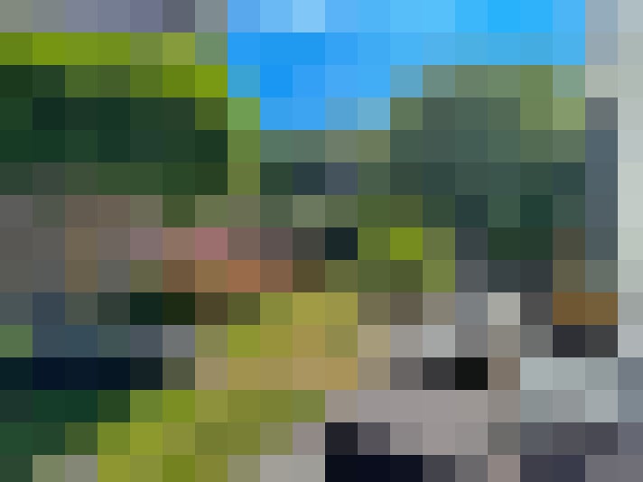 Image 38