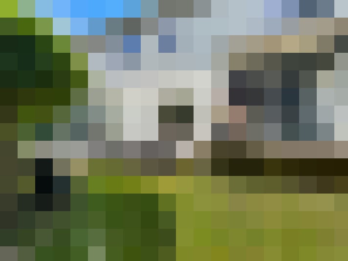 Image 36