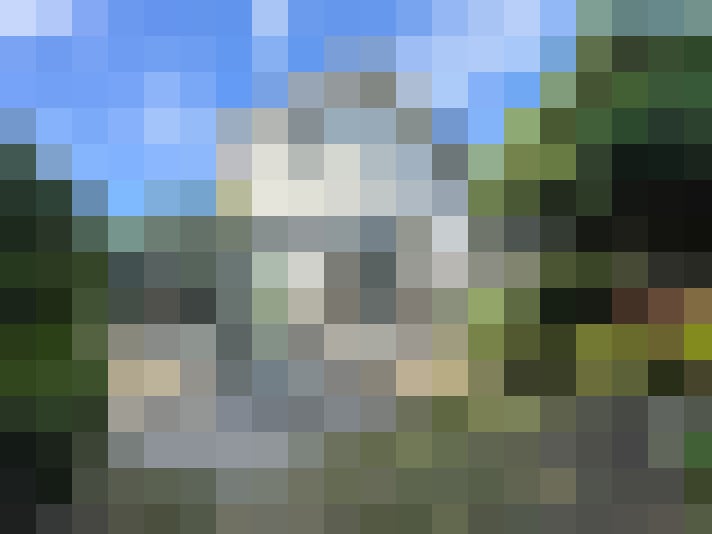 Image 13