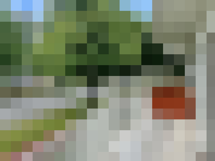 Image 24