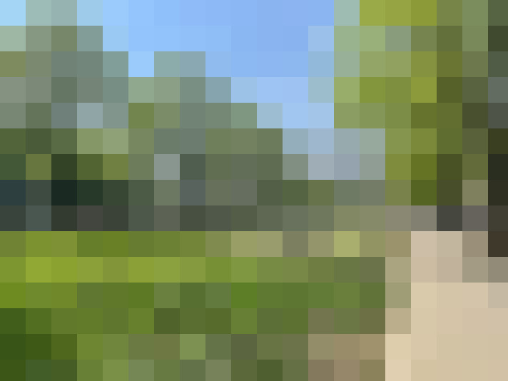 Image 40