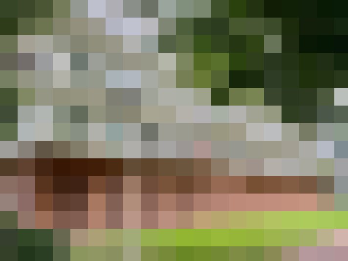 Image 43