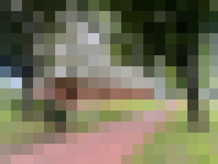 Image 41