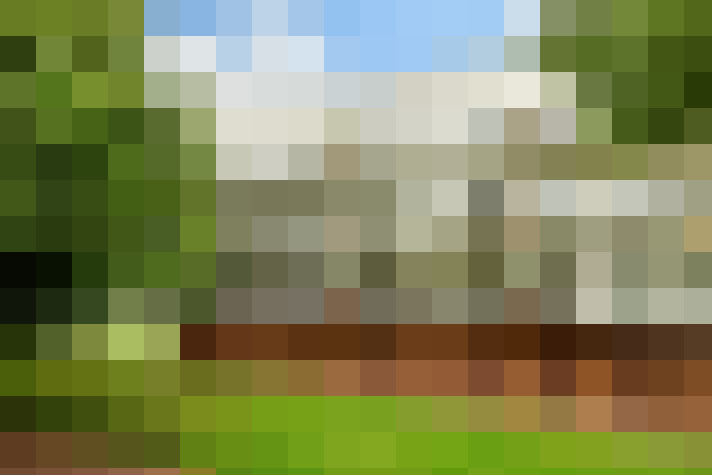 Image 38