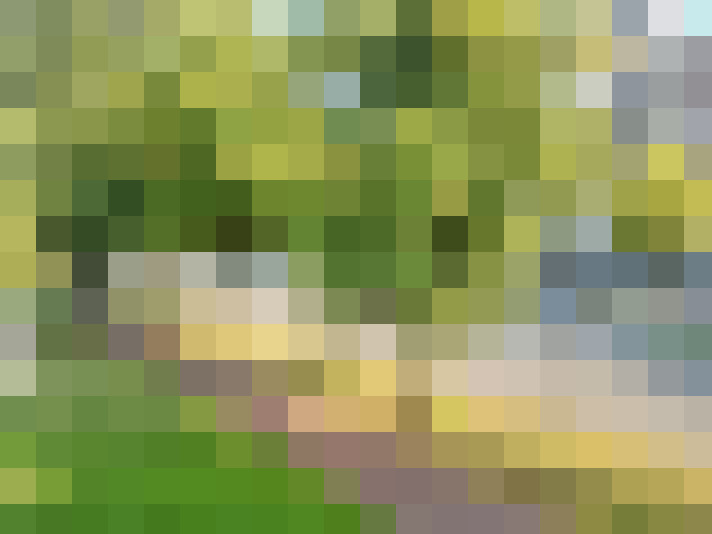 Image 39