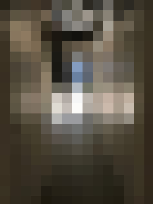 Image 31
