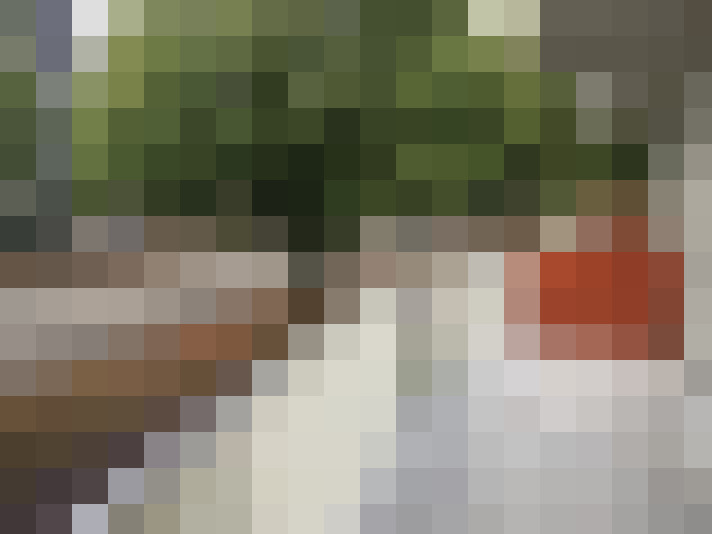 Image 26