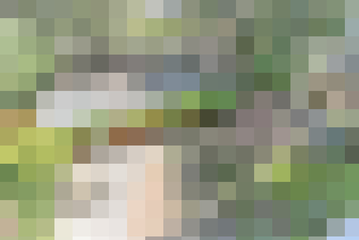  / #26