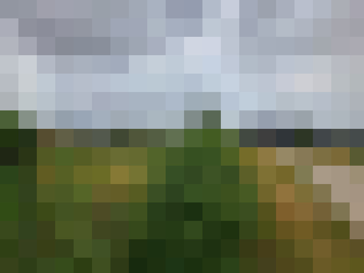 Image 26