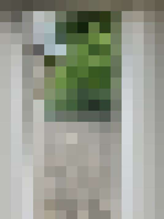 Image 67