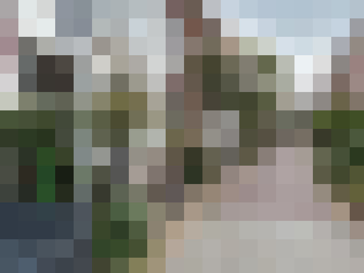 Image 77