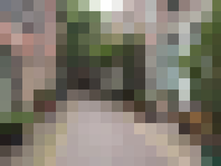 Image 79