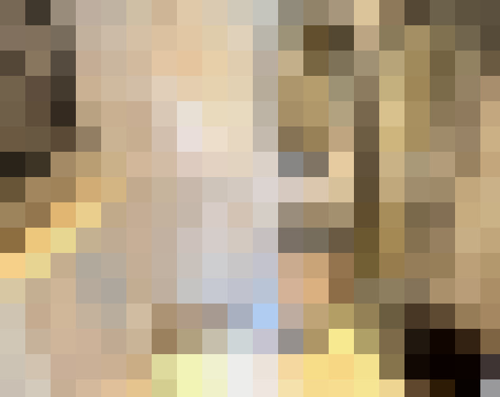 Image 31