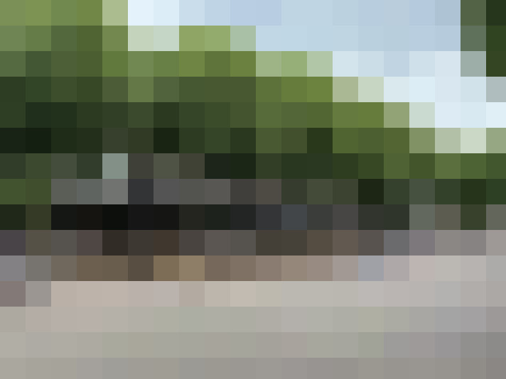 Image 80