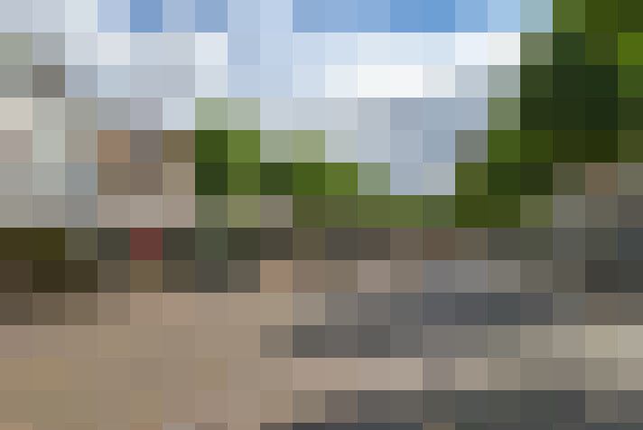Image 50