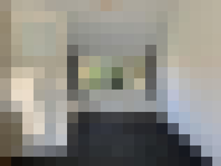 Image 15