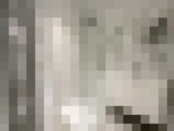 Image 20