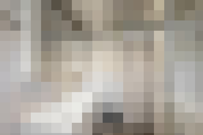 Image 20