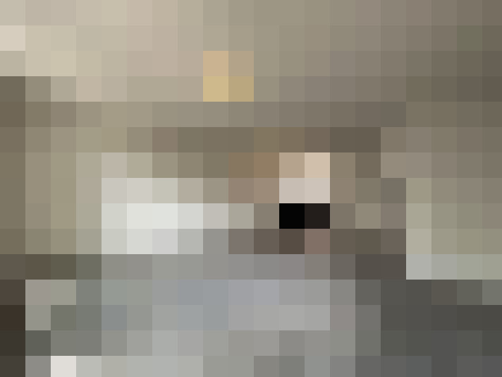 Image 14