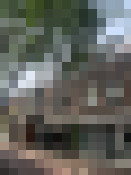 Image 41