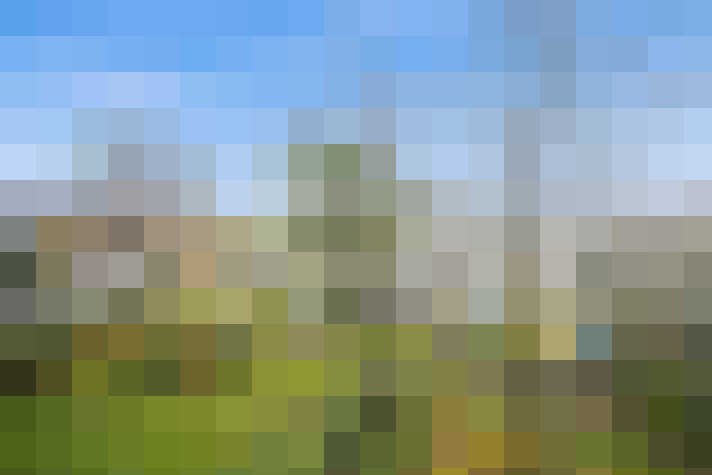 Image 39