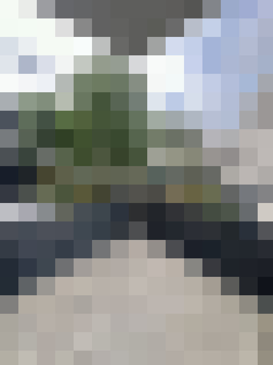 Image 31