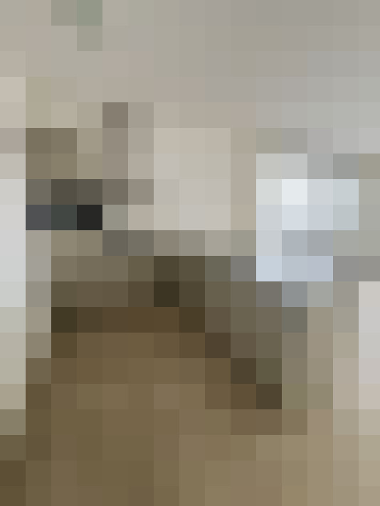 Image 27