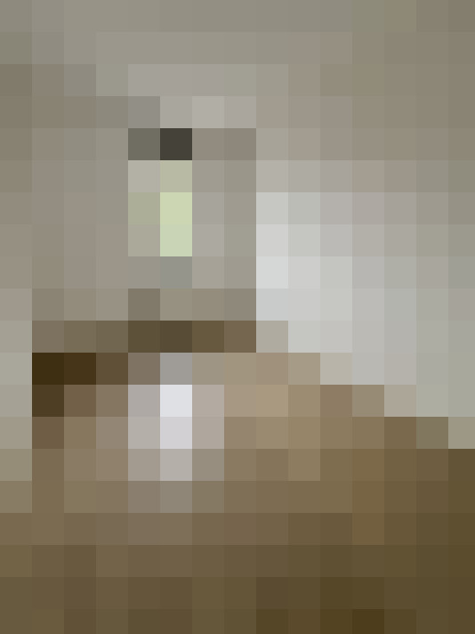 Image 20