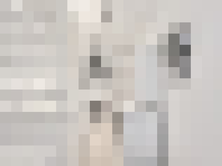 Image 28