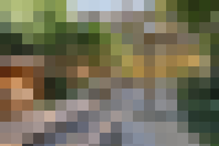 Image 17