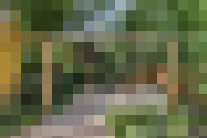 Image 16