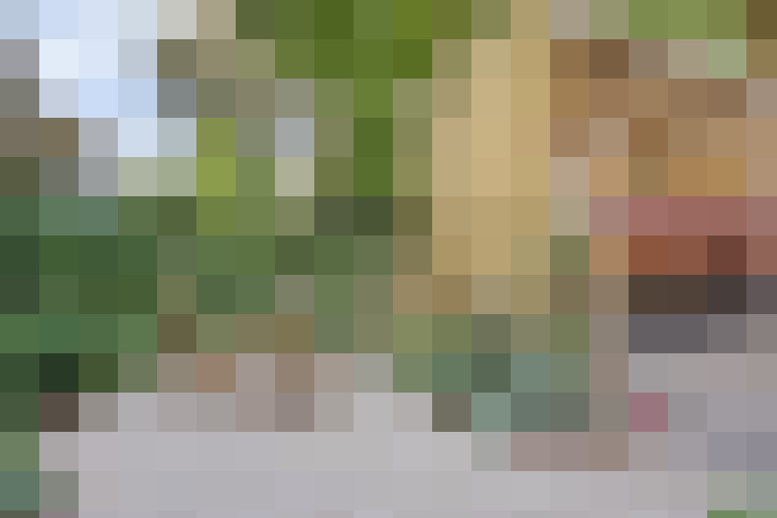 Image 18