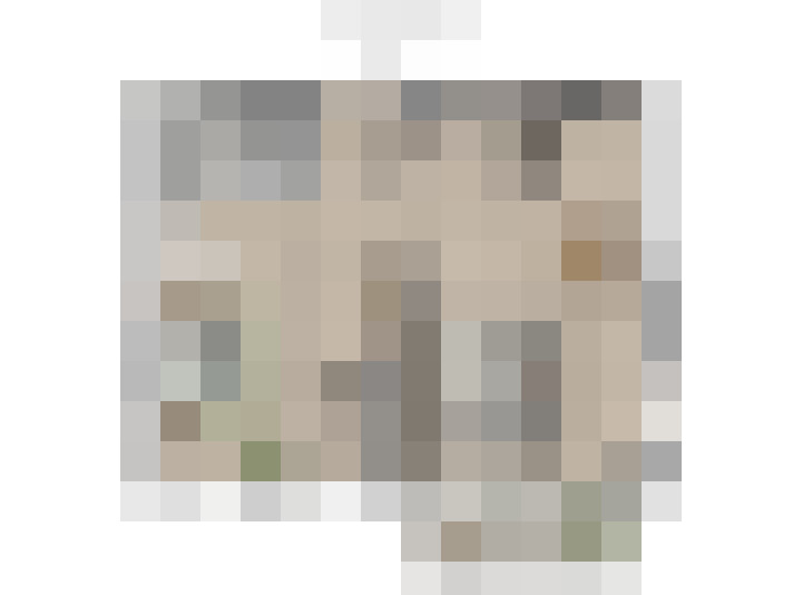 Image 41
