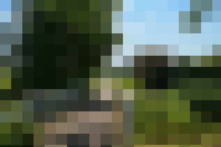 Image 38
