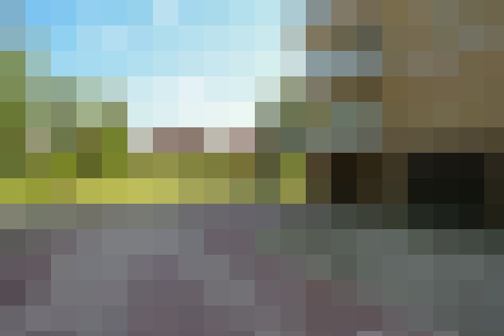 Image 31