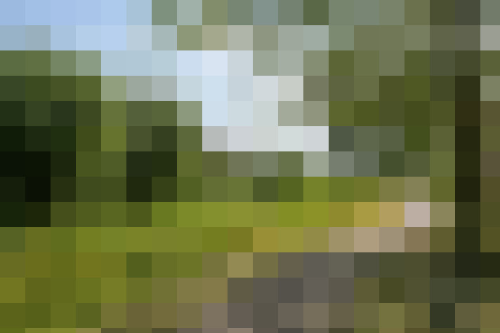 Image 36