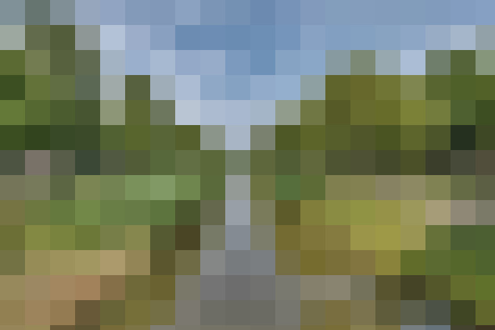 Image 41