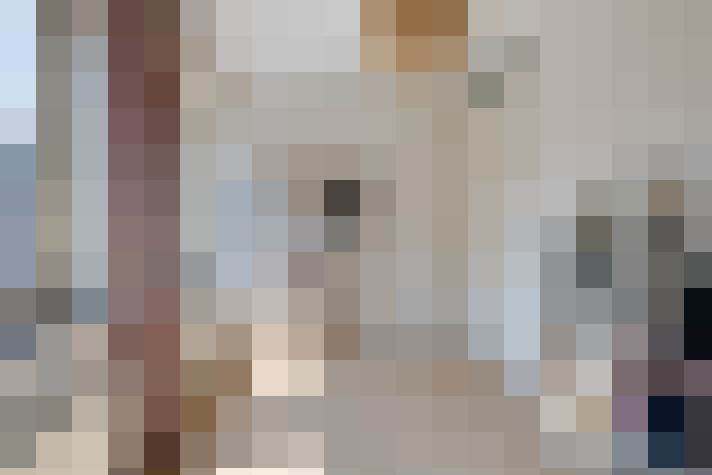 Image 17