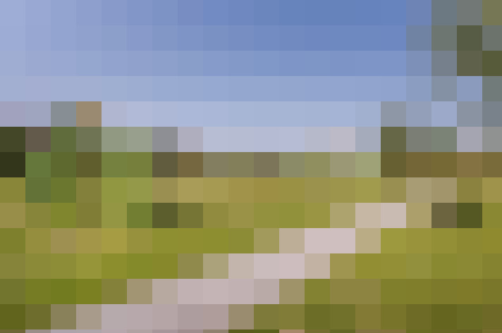 Image 39