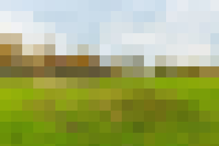 Image 40