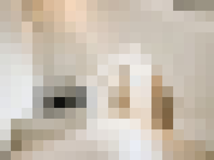 Image 28