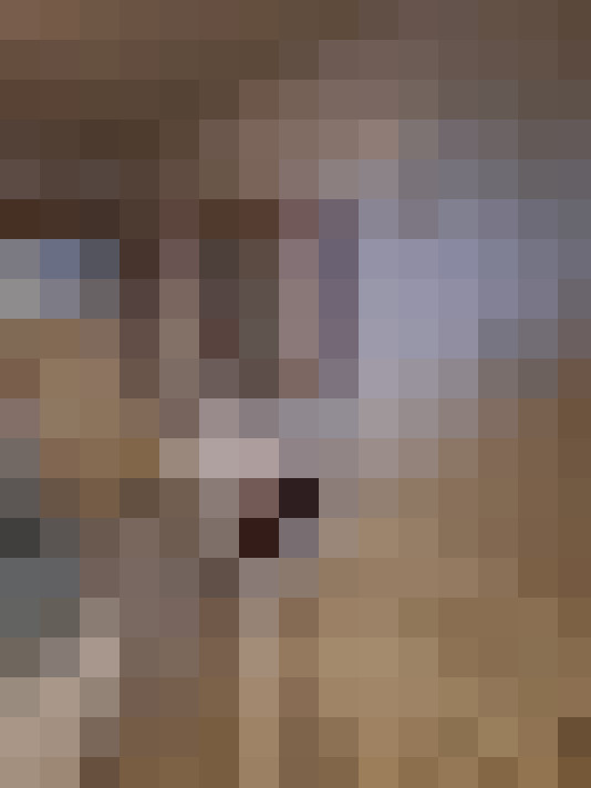 Image 17