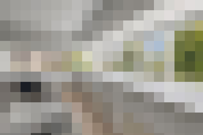 Image 13