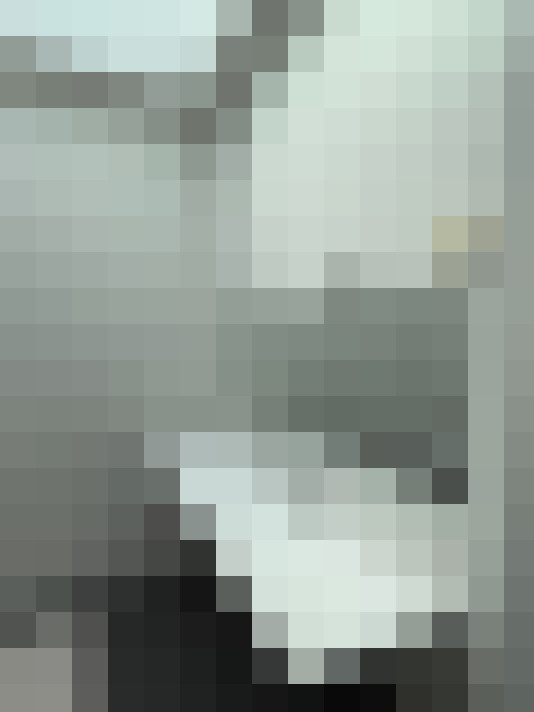 Image 16