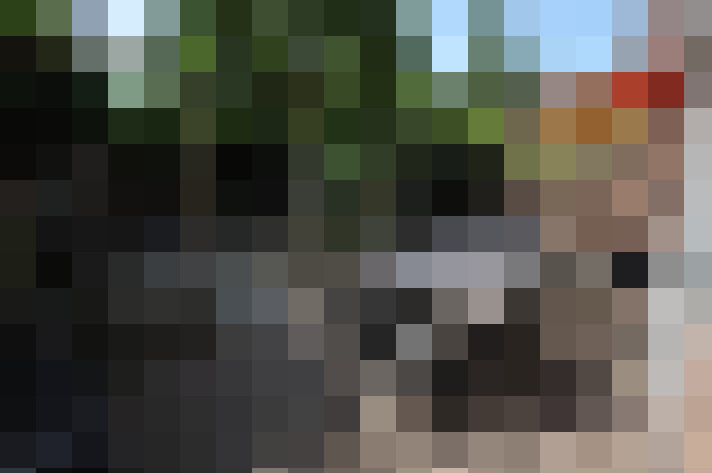 Image 29